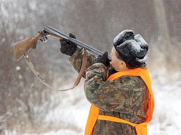 Изображение К началу ХХI века доля сельского населения РФ (24–27 %) стала втрое меньше, чем городского (73–76 %). Изменение пропорций населения, его распределения и уклада жизни разрушило существовавшие культурные коды и в частности привело к опасной недооценке смысла и значения охоты, охотничьего хозяйства и охотничьего собаководства. Люди сосредоточены на 12 % площади страны, тогда как охотничьи угодья 1,5 млрд га составляют более 88 %. ФОТО АНТОНА ЖУРАВКОВА