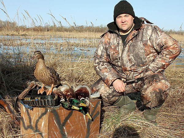 Изображение Хорошая работа подсадных доставила истинное удовольствие от охоты. Фото автора. 