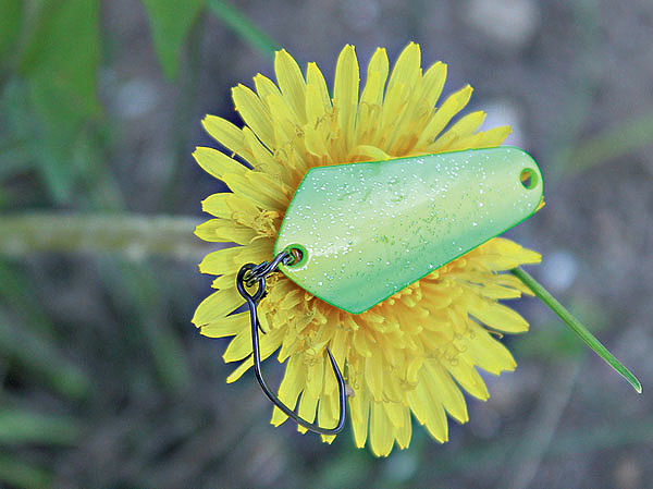 Изображение Сравнительный размер микроколебалки для ловли голавля. Фото: Николай Лебедев.