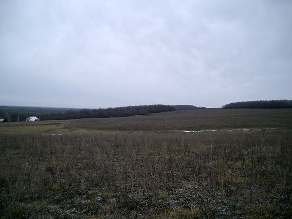 Изображение фото: Кочеткова Дмитрия 