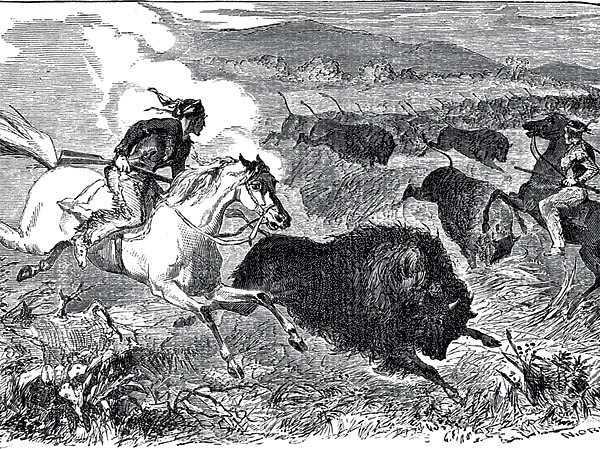 Изображение Охота на бизона — популярная тема североамериканской живописи.