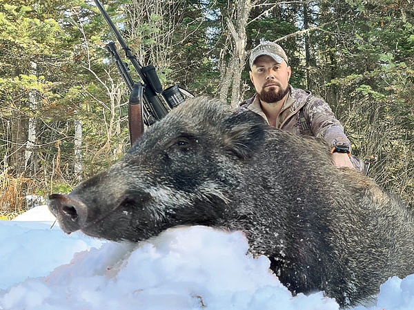 Изображение Такой редкий и от этого приятный трофей. Фото автора. 