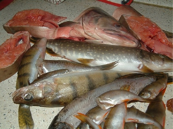 Изображение Фото: Токарева Александра. 