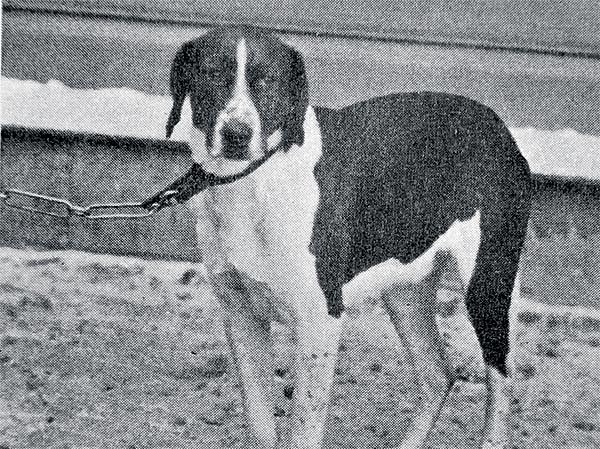 Изображение ИЛЛЮСТРАЦИЯ ИЗ АРХИВА ПАВЛА ГУСЕВА