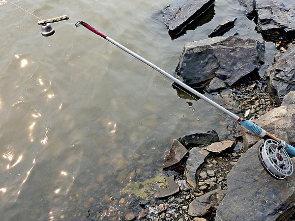 Изображение Фото: Смирнова Александра. 