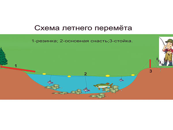 Изображение Фото: Смирнова Александра. 