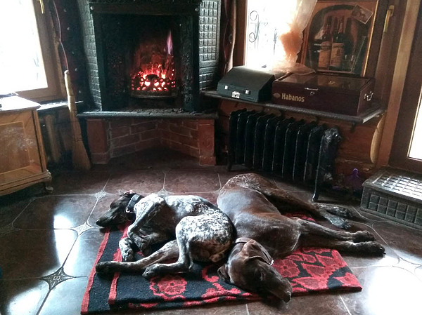 Изображение фото: Семина Михаила