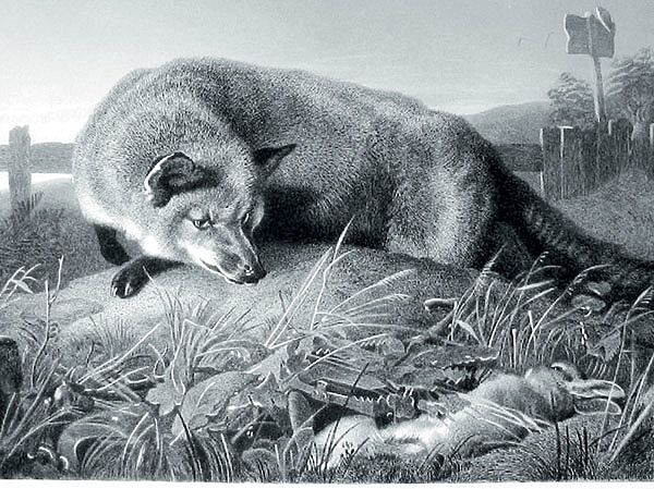 Изображение ИЛЛЮСТРАЦИЯ ИЗ АРХИВА ПАВЛА ГУСЕВА