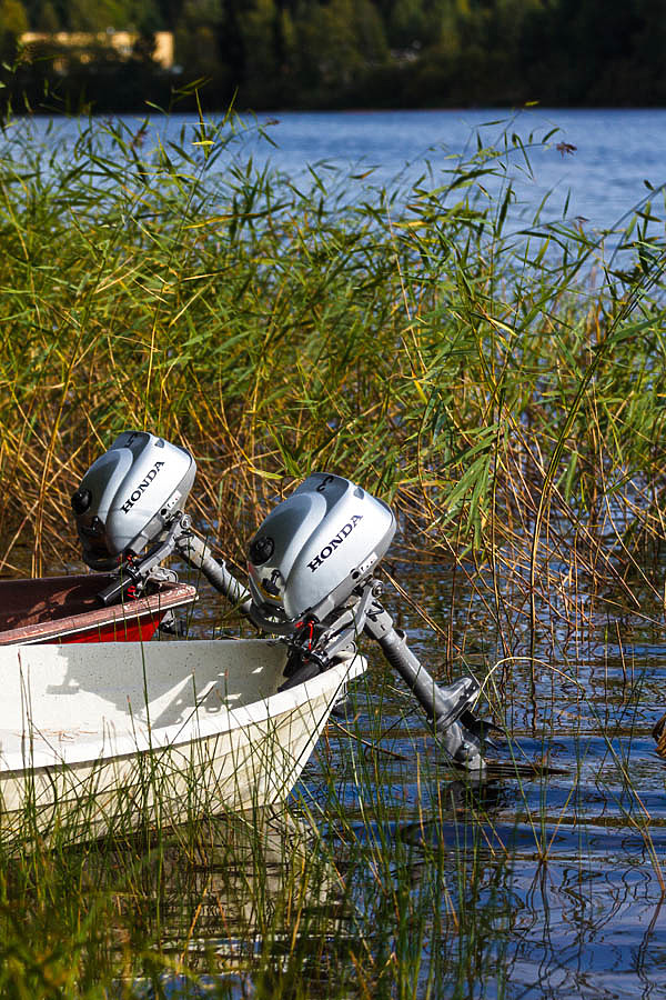 Изображение фото: Fotolia.com 