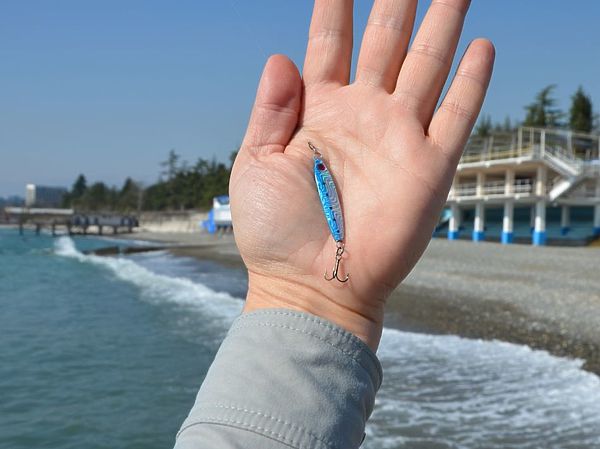 Изображение Рабочий пилькер для ловли саргана. Фото: Геннадий Шеляг.