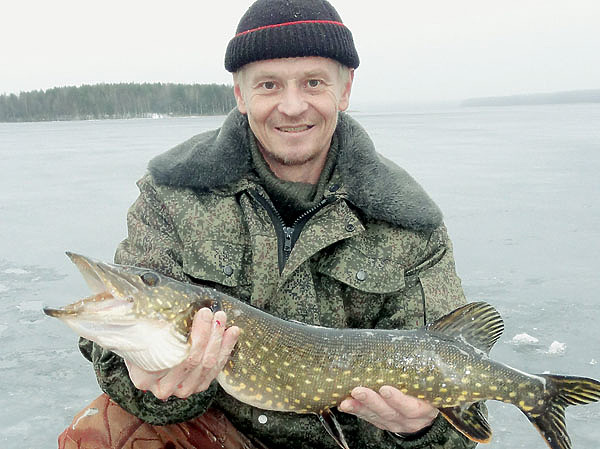 Изображение На просторах больших водоемов непросто найти стоянку щуки достойного размера. Фото: Смирнова Сергея.