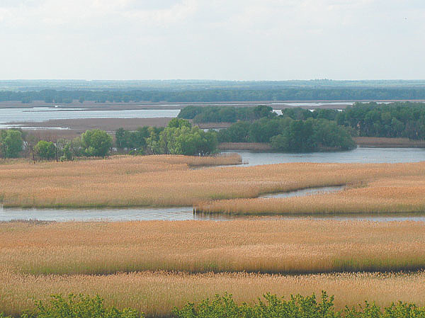 Изображение Фото: Владимир Супруненко. 