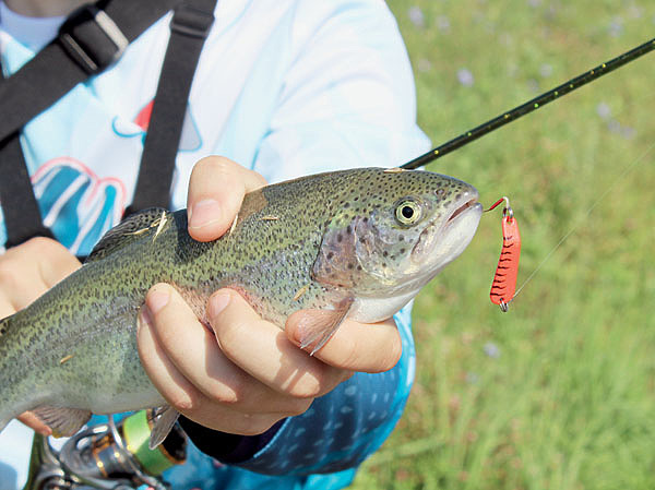 Изображение Зачастую чем ярче по цвету блесна, тем больше на нее поклевок. Фото: Лебедева Николая.