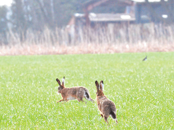 Изображение Фото Александра НАЗАРОВА 
