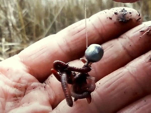 Изображение Фото: Александр Токарев. 