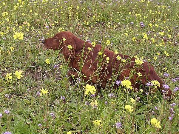 Изображение Фото автора. 