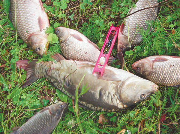 Изображение Фото: Анатолий Маилков.