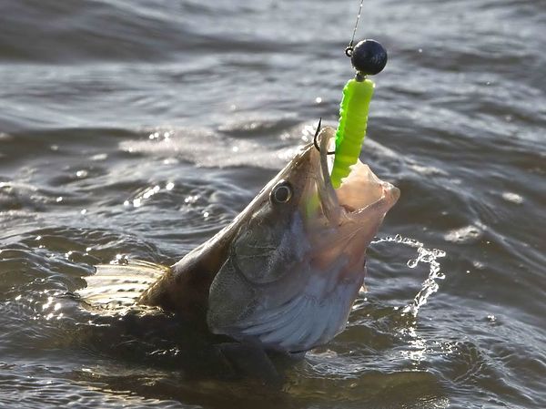 Изображение Фото: Евгений Кузнецов.