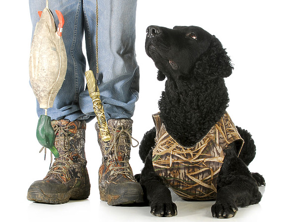 Изображение фото: fotolia.com