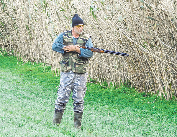 Изображение Фото Pixabay 