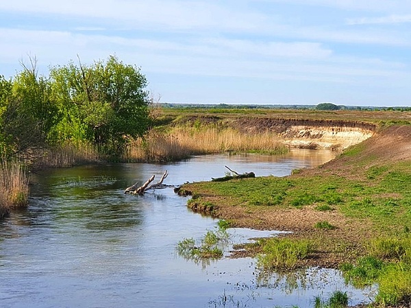 Изображение Фото: Коломийца Алексея. 
