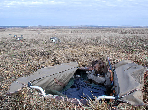 Изображение фото: Семина Михаила 