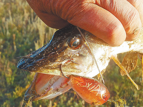Изображение Фото: Коломийца Алексея. 