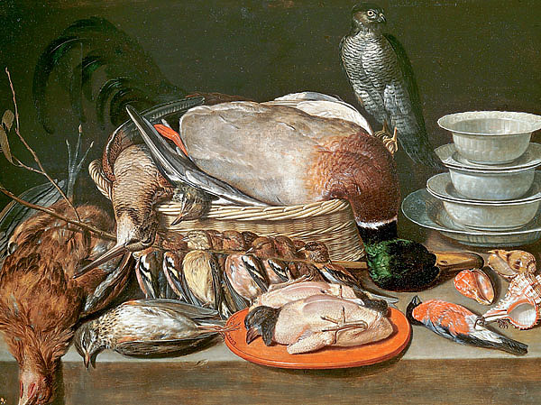 Изображение ИЛЛЮСТРАЦИЯ CLARA PEETERS