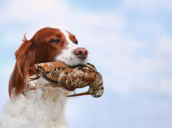 Изображение fotolia.com