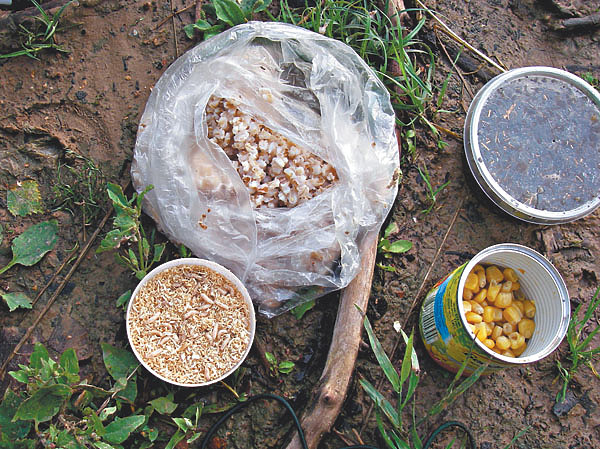 Изображение Фото: Маилкова Анатолия.