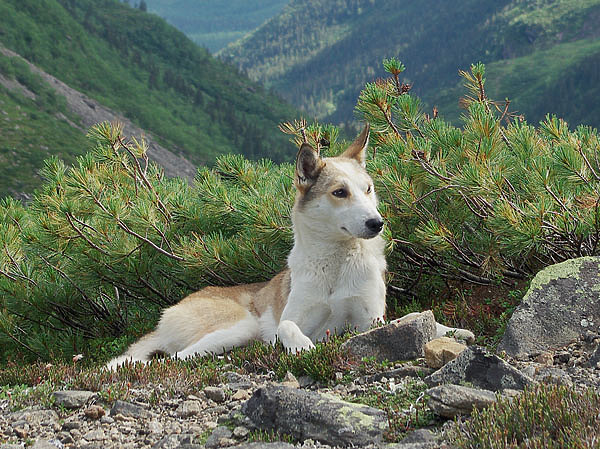 Изображение Фото автора.