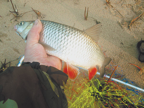 Изображение Фото: Токарева Александра. 
