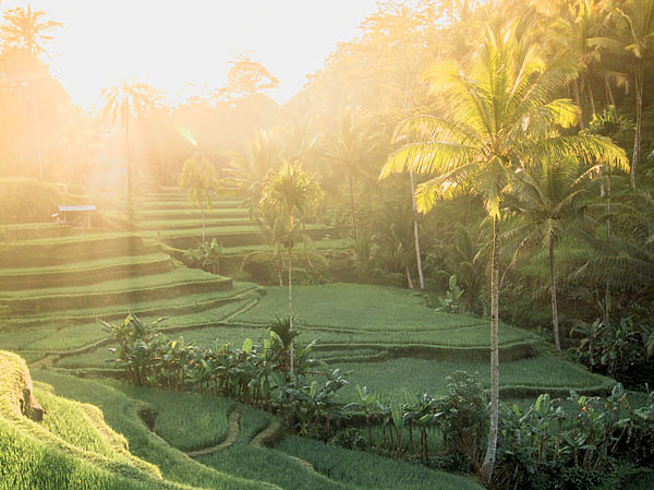 Изображение Вид искусственно созданных террас поражает воображение. Фото: Андрей Рыбаков.