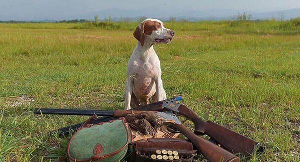 Изображение фото: из архива редакции 