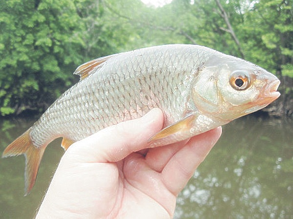 Изображение Фото: Токарева Александра.
