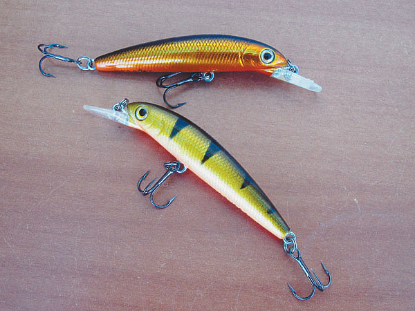 Изображение Фото: Токарева Александра. 