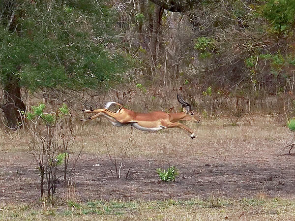 Изображение Фото автора. 