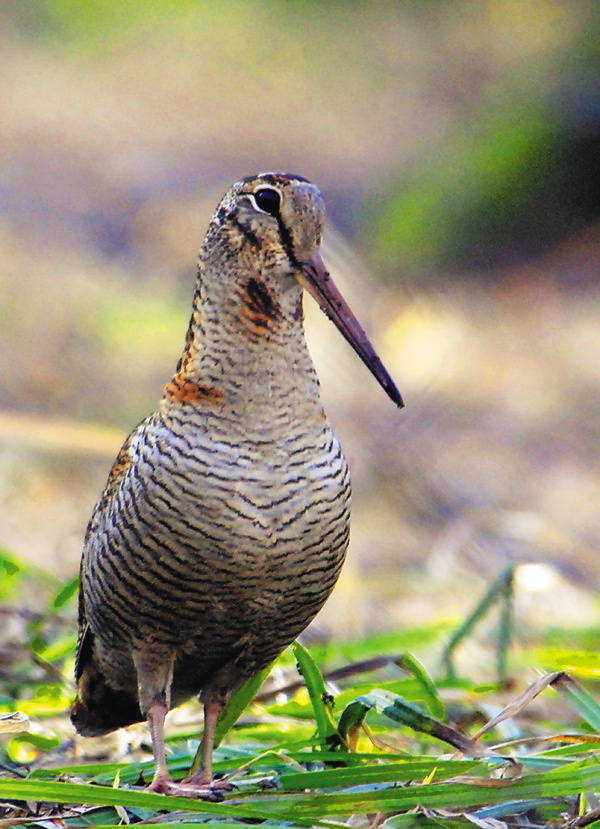 Изображение Фото Дмитрия Щаницына