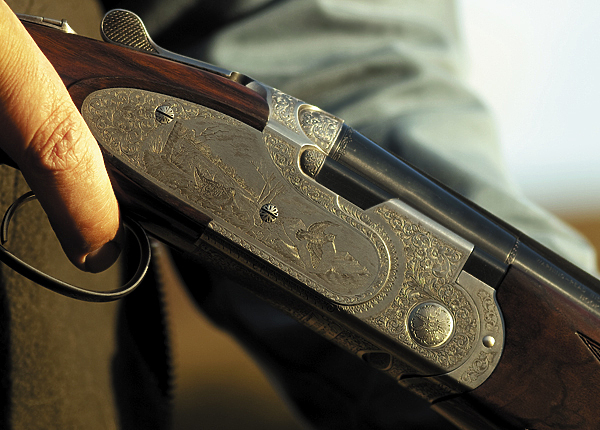 Изображение Больше всего вальдшнепов добывается в Московской области — 20–30 тысяч птиц.
Фото ISTOCKPHOTO.COM