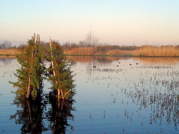 Изображение ФОТО ИГОРЯ ЛИСУКОНЯ 