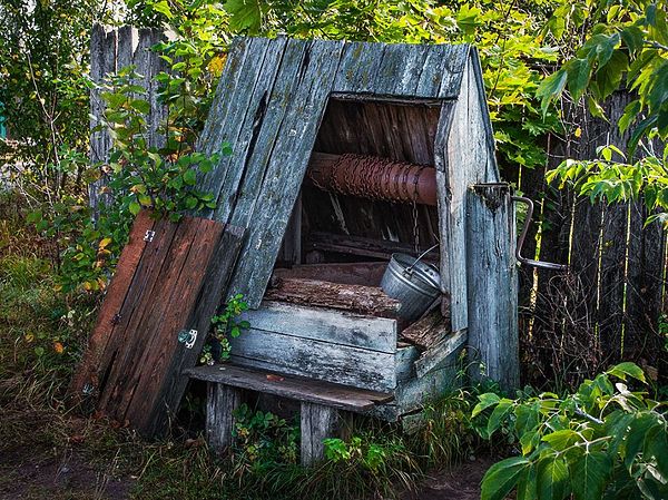 Изображение Фото: rastokus.ru.