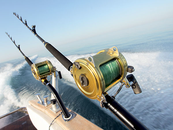 Изображение ФОТО SHUTTERSTOCK