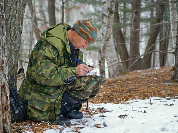 Изображение фото: Fotolia.com