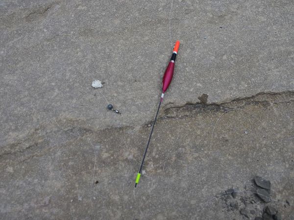 Изображение Так выглядит оснастка для ловли подуста с поплавком под грузило 0,5 грамма. Фото: Геннадий Шеляг. 