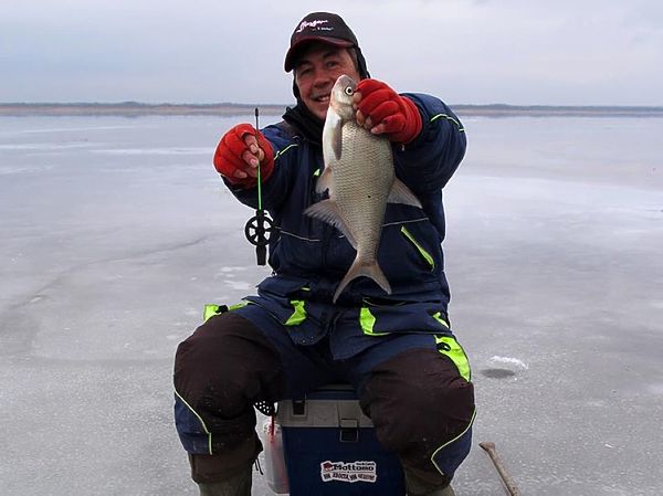 Изображение Фото: Алексей Коломиец. 
