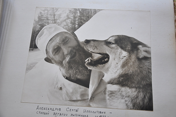 Изображение Старший ветврач Сергей Александров – настоящий доктор Айболит! Фото автора.
