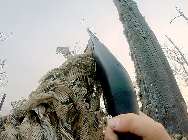 Изображение Несмотря на большие размеры летящего гуся, попасть в него не так-то легко: к промахам чаще всего приводит неправильное упреждение.  Фото автора. 