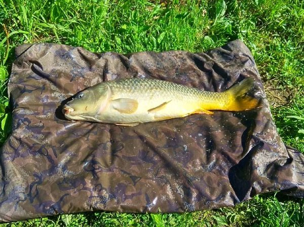 Изображение Фото: Комарова Андрея. 