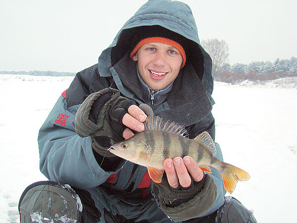 Изображение Этот матерый окунь клюнул на исходе февральского дня. Фото: Линника Николая. 