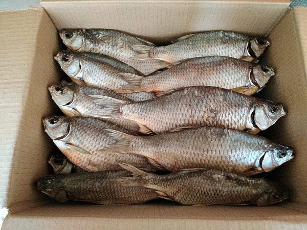 Изображение Фото: bfish.ru. 